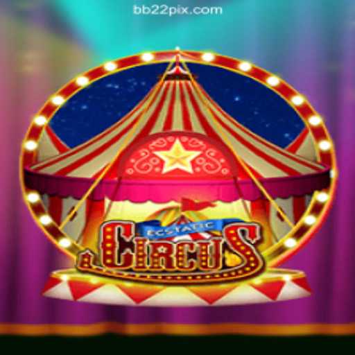 EcstaticCircus: Your Daily Dive into Excitement and Fun