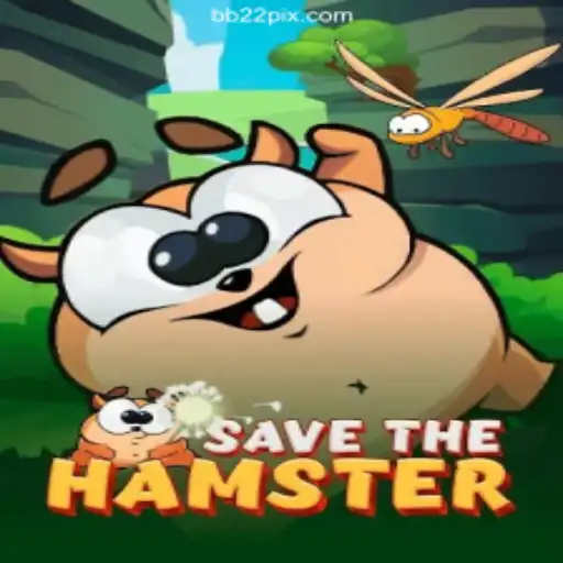Experience the Thrills of 'SavetheHamster': BB22 Calls You to Dive into a World of Fun and Excitement